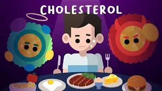 What is Cholesterol?