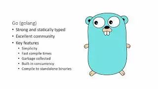 Learn Go Programming: Golang Tutorial for Beginners