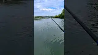 Какой кайф рыбачить с лодочки на поплавок #рыбалка #fishing #улов #поплавок #слодки