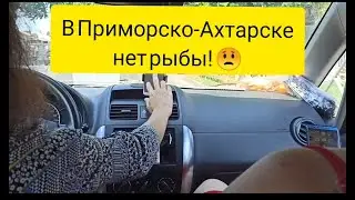 САМОЕ РЫБНОЕ МЕСТО В КРАСНОДАРСКОМ КРАЕ. ОБЗОР РЫБНОГО РЫНКА В ПРИМОРСКО-АХТАРСКЕ.