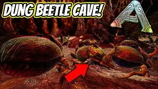 HOW TO FIND THE DUNG BEETLE CAVE ON FJORDUR TONS OF BEETLES!! || Ark Fjordur!!