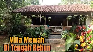 Dijamin Betah!!! Villa Kayu Di Tengah Kebun, Banyak Kolam Ikannya.
