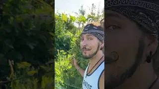 Сбой матрицы в реальной жизни!