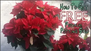 How to get FREE premium potting soil