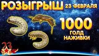 1000 голд наживки РОЗЫГРЫШ 🎁 23 февраля 🎁 Русская Рыбалка 4