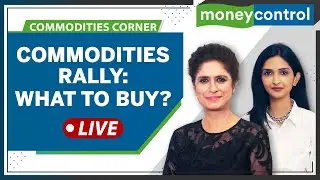 Commodities Live: Prices Of Oil, Gold, Copper & Other Metals Rise | Book Profit Or Buy More?