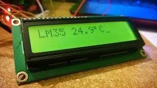 Thermometer MSP430 and LM35