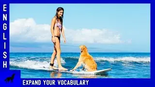 Pretty Surfer with her Dog | English Vocabulary Lesson