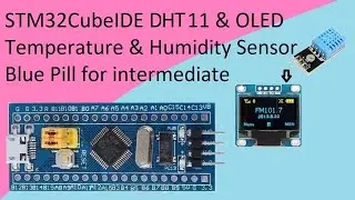 40. STM32CubeIDE DHT11 Temperature and Humidity Sensor / OLED with STM32F103C8T6