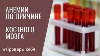 ВИДЫ Анемий. 2.МЕГАЛОБЛАСТНЫЕ. Что-то не то с костным мозгом…