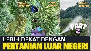 Lebih Dekat dengan Pertanian Modern di Luar Negeri Part 2 #kumpulanshorts