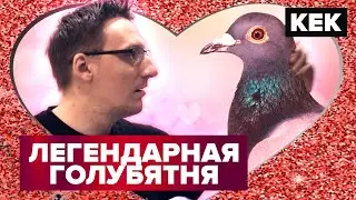 HATOFUL BOYFRIEND / ЛУЧШИЕ МОМЕНТЫ