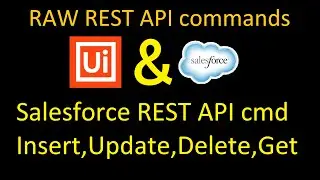 Automate Salesforce with UiPath - REST API Integration