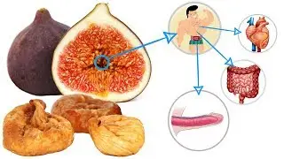 Are Figs Good For You? Figs Nutrition Facts - Fig Calories - Benefits Of Fig Leaves