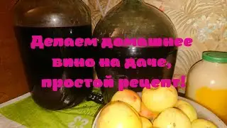 Делаем домашнее вино на даче, простой рецепт