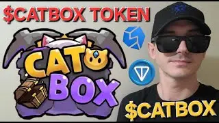 $CATBOX - CATBOX TOKEN CRYPTO COIN HOW TO BUY TON MEMECOIN TAP TELEGRAM GAME DEDUST STON.FI CAT BOX