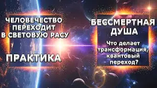 Что Делает Трансформация, КВАНТОВЫЙ ПЕРЕХОД? Человечество ПЕРЕХОДИТ В Световую РАСУ!