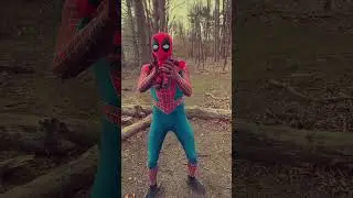Spider-Man Vs. Deadpool Voodoo Fight 