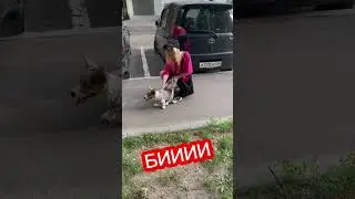 МЕНЯ С СОБАКОЙ ВЫГНАЛИ ИЗ ДОМА 😭🏠