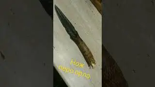 Нож перо орла .