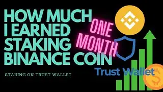 How Much I Earned Staking BNB on Trust Wallet In One Month