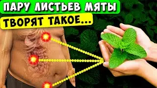 Забудьте о БОЛЯЧКАХ! Вот что Творит МЯТА, врачи не могут объяснить силу, но это факт...