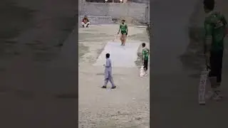 what a ball cricket shorts 