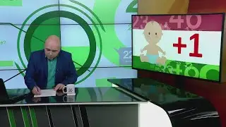 Работодатели будут отслеживать рождаемость у сотрудников? В фокусе событий