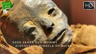 5000 Years Old Mummy Discovered Miracle of Allah - (New 2018)