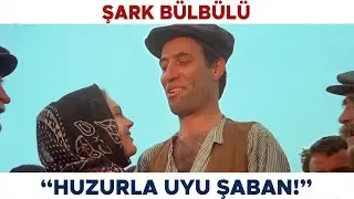 Şark Bülbülü Türk Filmi | Şaban Tabuttan Çıkıyor!