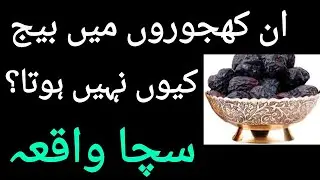 Ajwa Khajoor | Bager guthli ke khajoor | Dates Without Seeds In Madinah | Seedless Dates/hajj