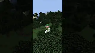 Most Viewed Minecraft Videos!