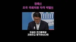 경축!! 조국 국회의원 자격 박탈!!