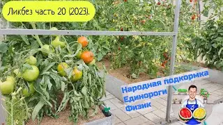 Ликбез часть 20 (2023). Единороги в саду и в огороде.