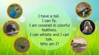 Guess the Animal Game. Animal Riddles | English Portal