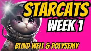 Starcat #1-2 Locations- WEEK 1 || Destiny 2
