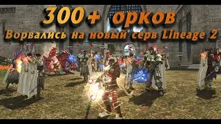 Как стартовали 300+ орков на новом серве в Lineage 2 Essence и как я стал топ 1  дестром