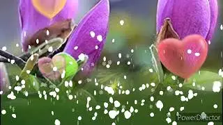 Мен бүгүн силерге баргым келди. 💐Кутман таңыңар менен🌷🌷🌷.