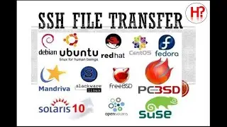 How to transfer Files Using SSH