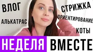 НЕДЕЛЯ ВМЕСТЕ | ДОМАШНИЙ ВЛОГ, БОЛТАЛКА, Стрижка, Поездки, Распаковка, Коты