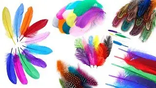 Color Feathers For Dreamcatcher