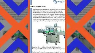 WAYLOG CONTROLS AND AUTOMATION FZ LLC