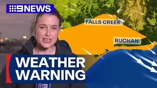 Severe weather warning issued for parts of Victoria | 9 News Australia