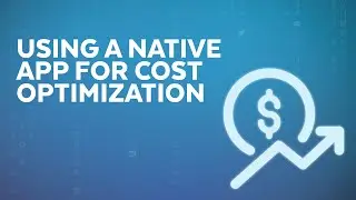 Using a Snowflake Native App for Snowflake Cost Optimization