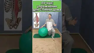 ЛУЧШЕ упражнение для здоровья СПИНЫ и хорошей ОСАНКИ!!! 