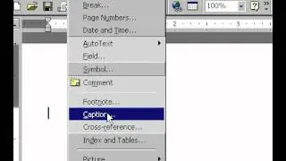 Microsoft Office Excel 2000 Embed worksheet into another application