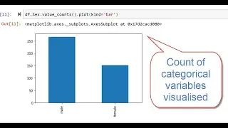 Visualise count of categorical variables for a Column python