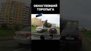 Осторожно, БОРЗОТА на дороге 