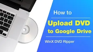 How to Upload DVD/Video to Google Drive? [Detailed Steps]