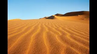 FREE ARABIC SAMPLES